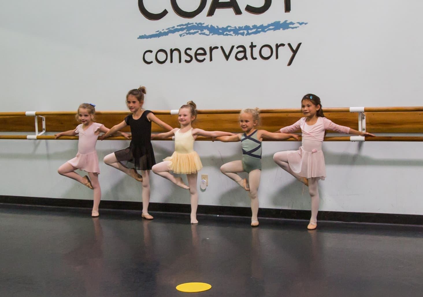 Young ballet students learning basics